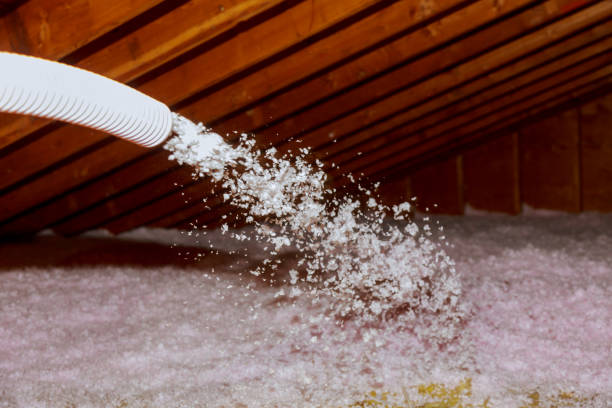 Best Specialty Insulation in Carlsbad, NM