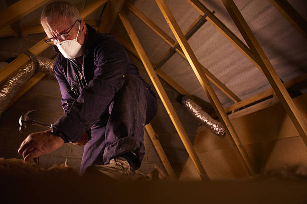 Best Residential Insulation in Carlsbad, NM